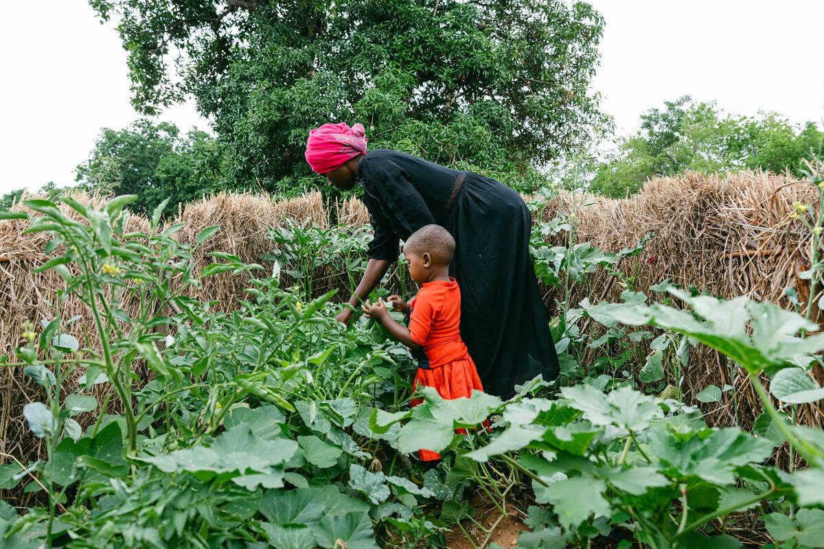 Malawi proyecto Maziko